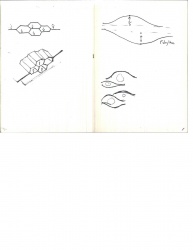 Sketches9.jpg